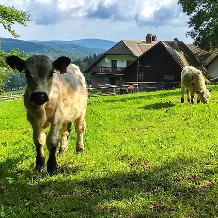 Lodge U Pichleru Stachy