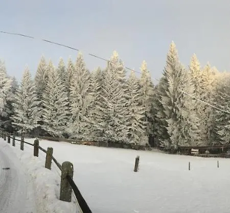 Деревянный коттедж U Pichleru *