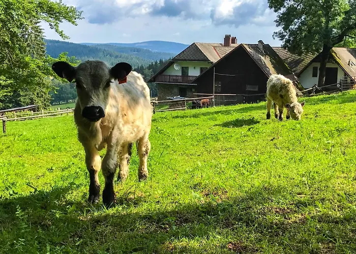 Lodge U Pichleru Stachy