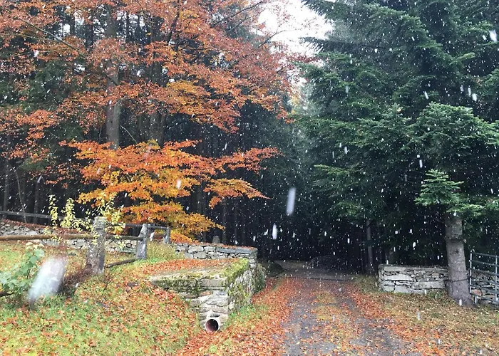 Lodge U Pichleru